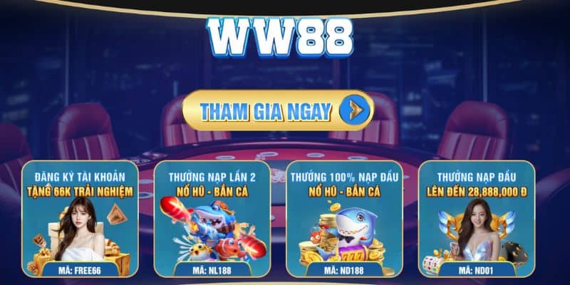 Giao diện đẹp mắt nhưng không kém phần trực quan, dễ sử dụng tại WW88 